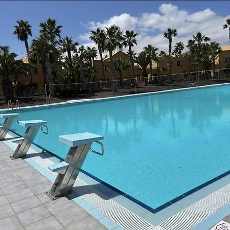 Apartman Home2book Breezy Palm View Duplex With Pool